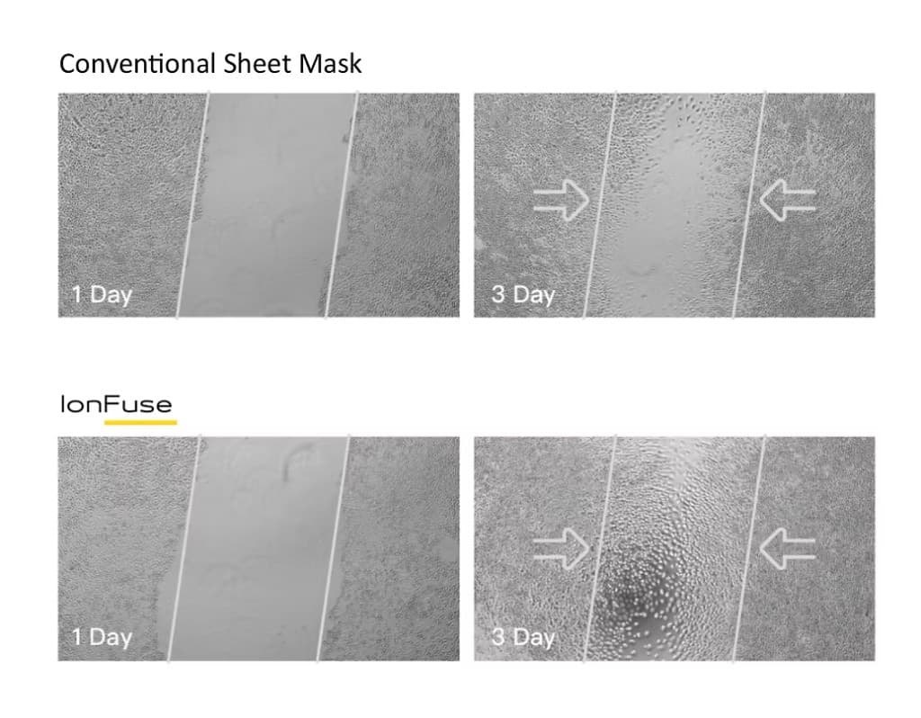 Cell proliferation composite: Conventional sheet mask versus IonFuse at 1 day and 3 day